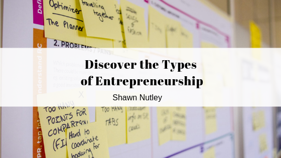 Discover the Types of Entrepreneurship